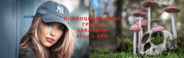 а пвп мука Алзамай