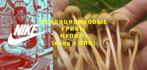 мескалин Алексин
