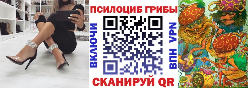 Псилоцибиновые грибы Psilocybe  Новоаннинский 